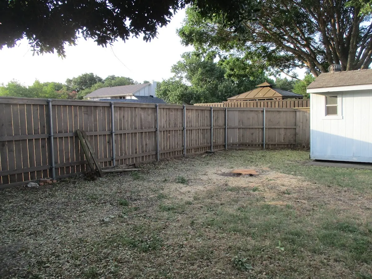 Cleared yard after professional tree removal in Hyattville