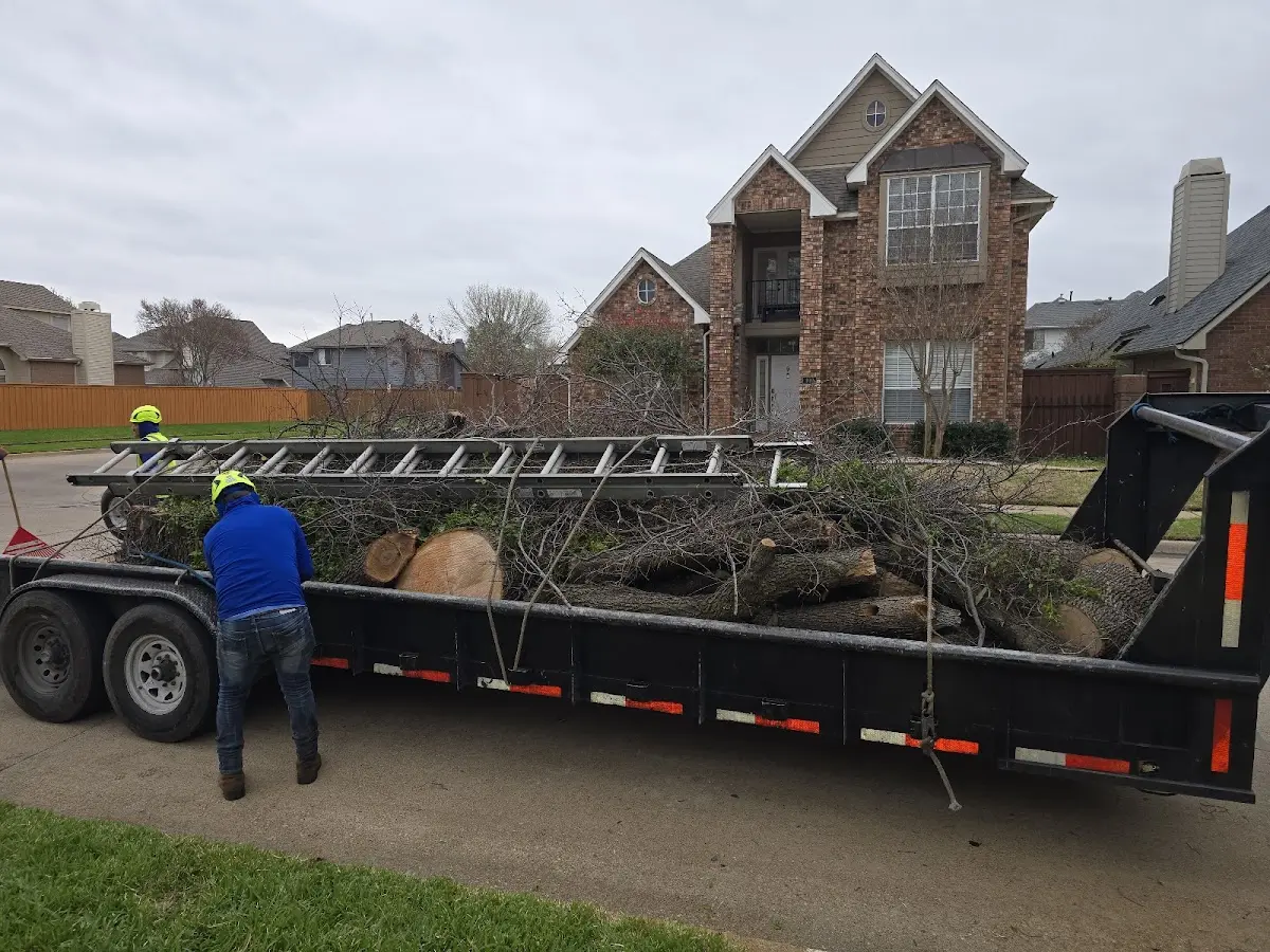 Expert Lot Clearing with proper safety equipment in Hyattville